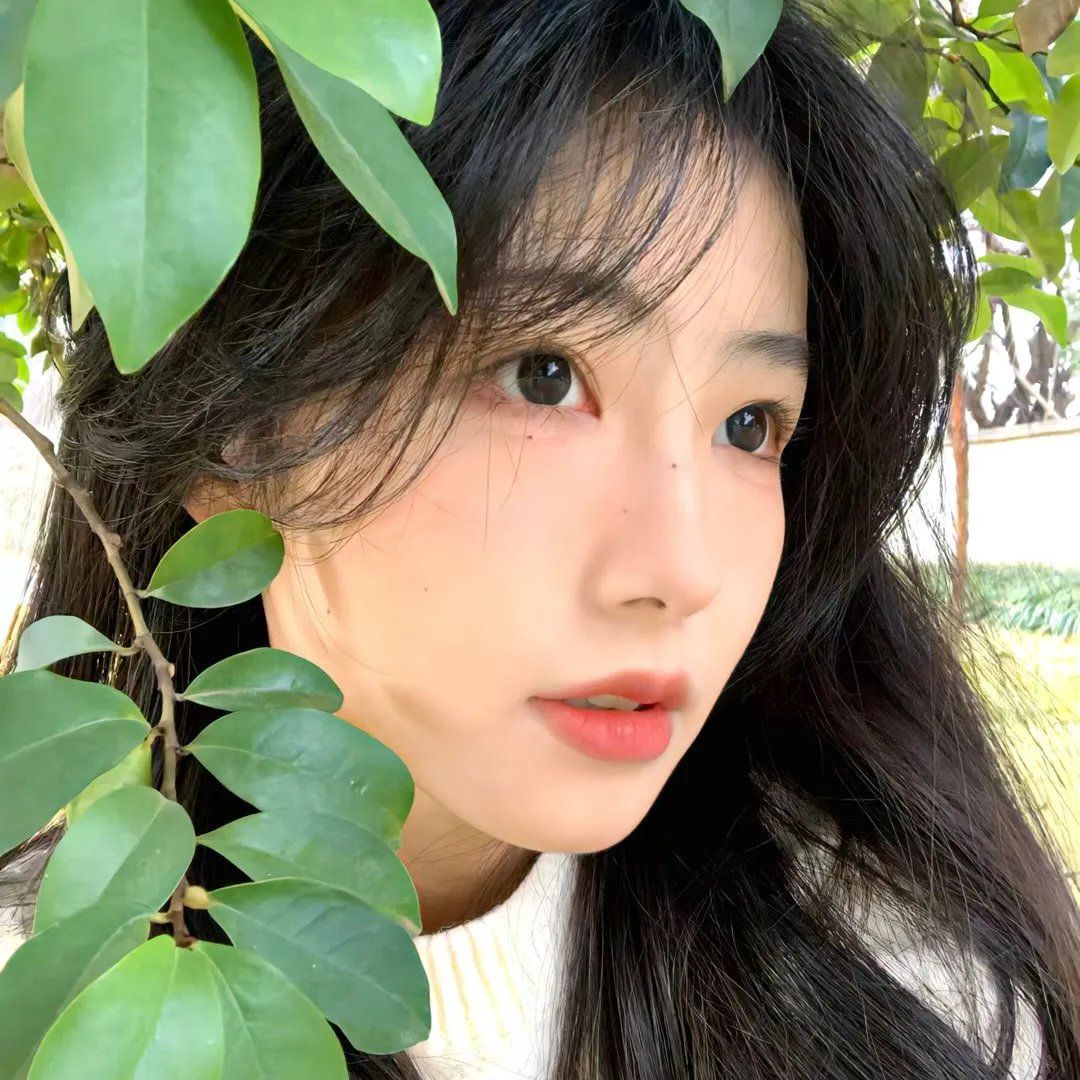 汾阳小子贾樟柯